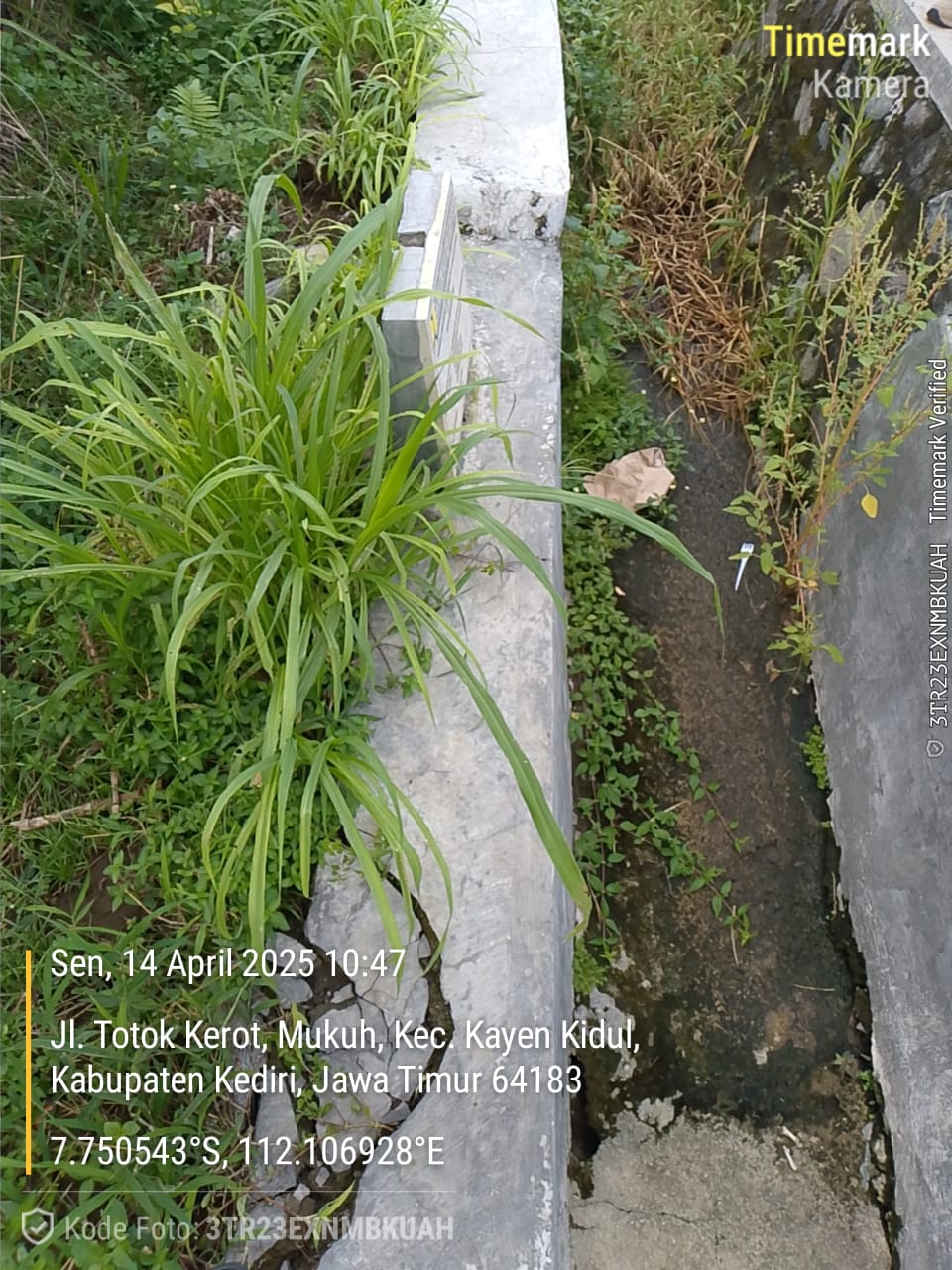 Img 20250506 Wa0031