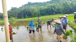 Img 20250508 Wa0017
