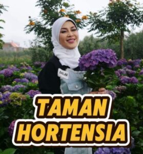 Img 20250708 Wa0000