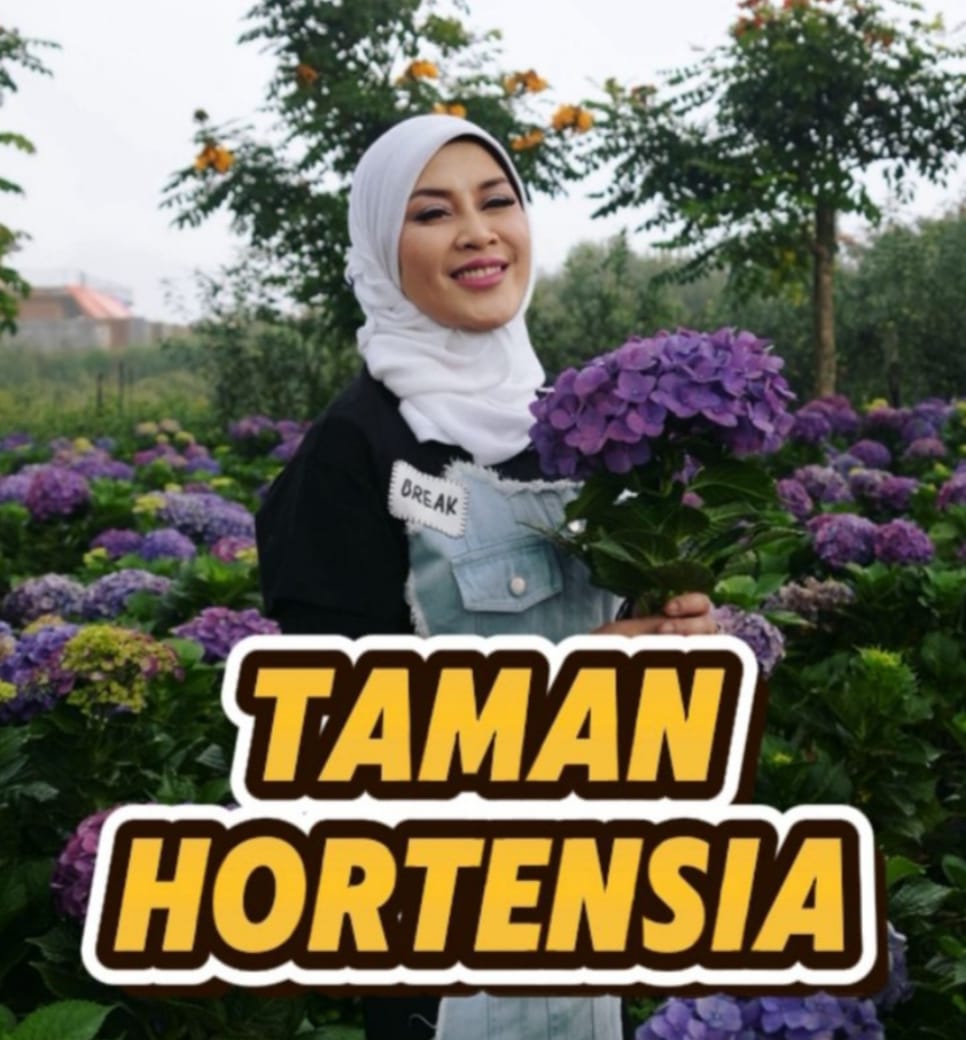 Img 20250708 Wa0000