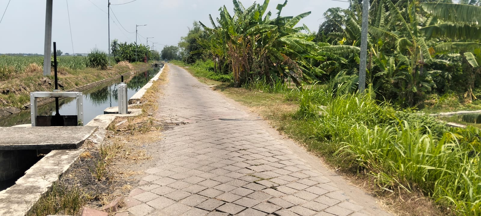 Warga Keluhkan Jalan Rusak dan Bau Menyengat dari Kandang Ayam di Pagerjo Gedeg, Mojokerto