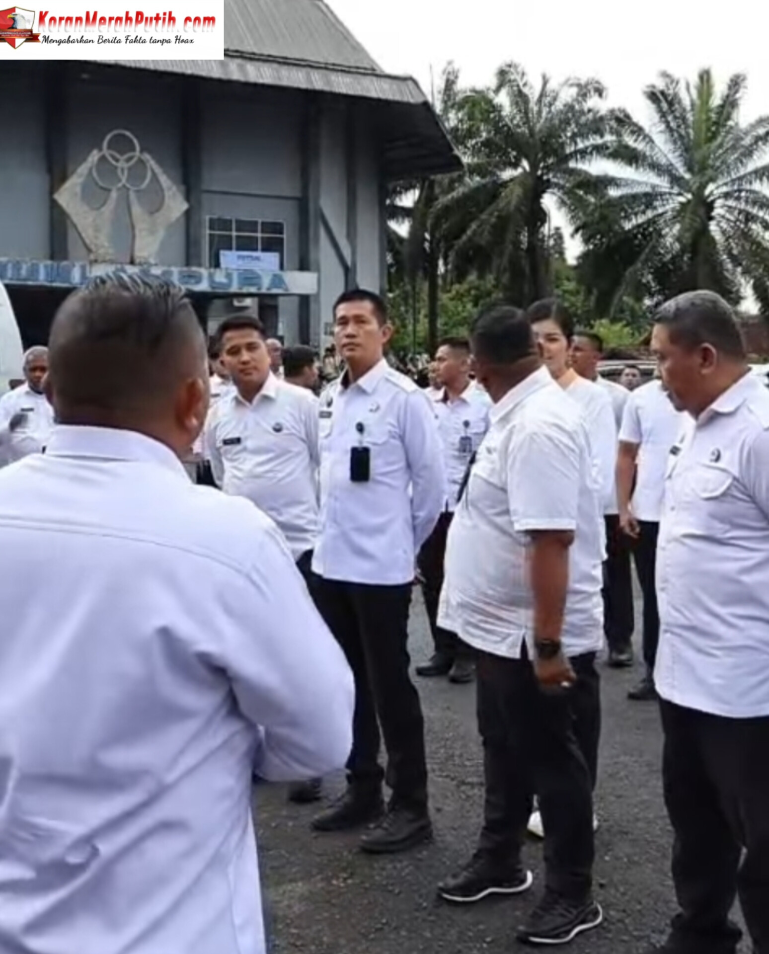 Inshot 20251114 145810006