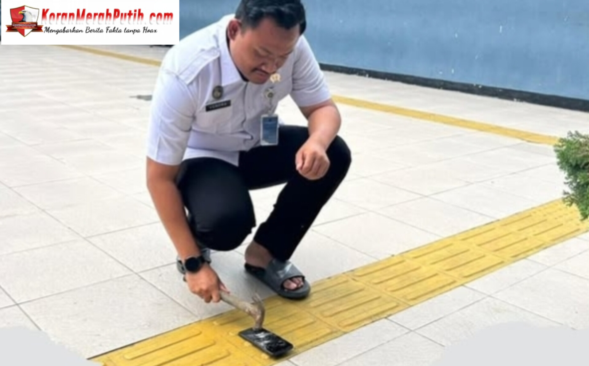 Inshot 20251119 190947671