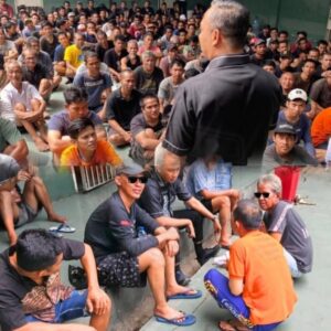 Incollage 20260102 115633182