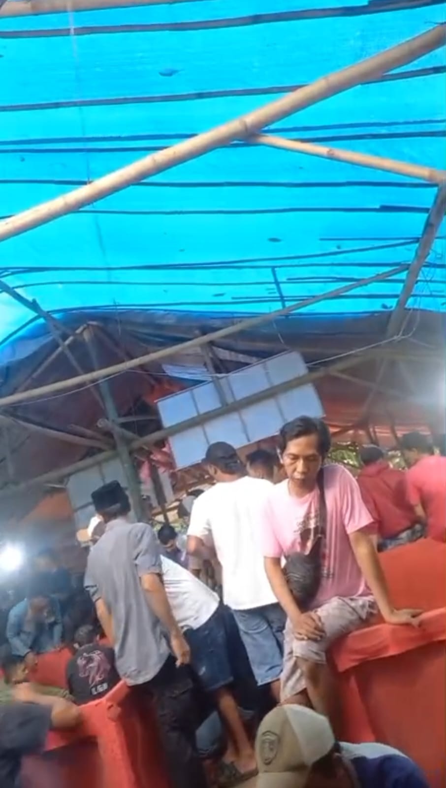 Diduga Berulang dan Terbuka, Sabung Ayam di Jenggawah Jember Luput dari Penindakan