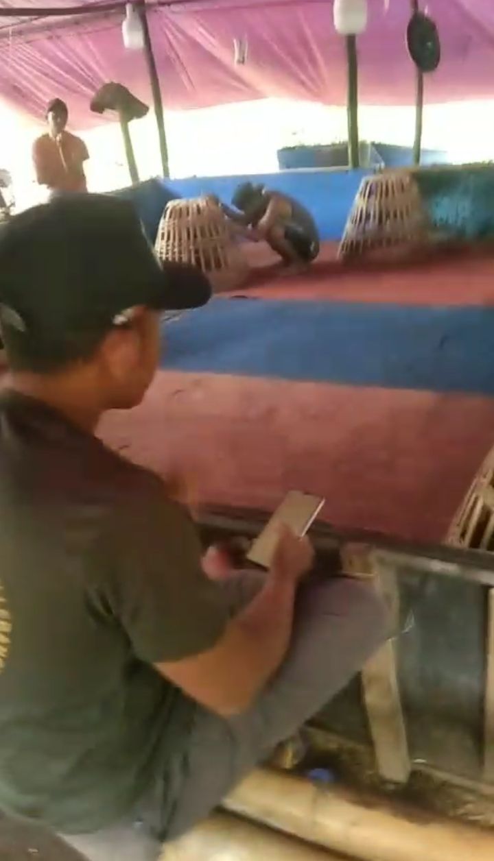 Img 20260212 wa0020~2