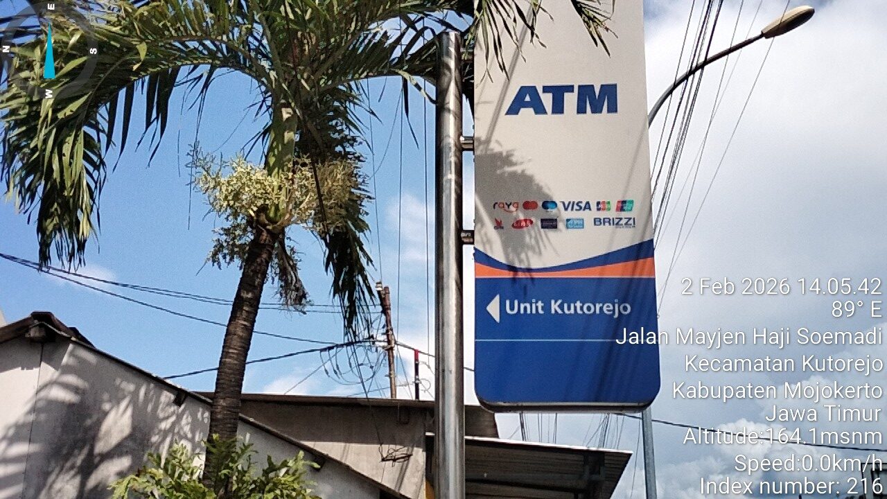 Timephoto 20260202 140542